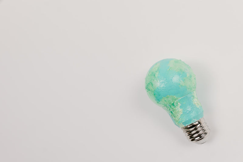 A Quick Guide to Starting a Business With Sustainable Practices in Mind