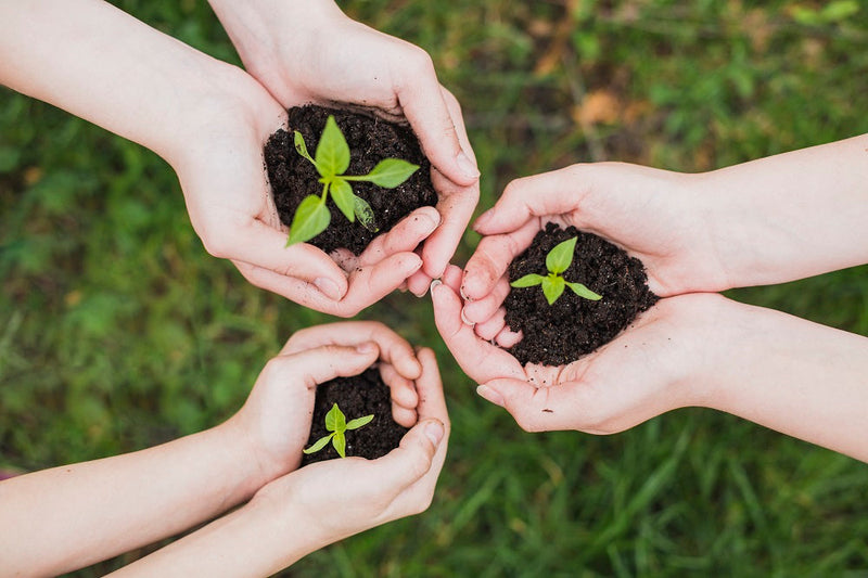 3 practical ways to be environmentally conscious